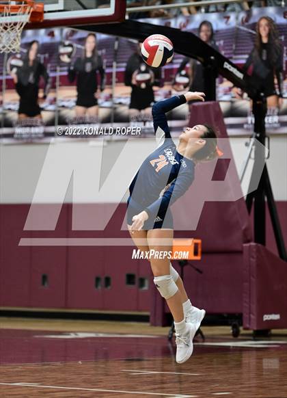 Thumbnail 3 in Sachse @ Wylie photogallery.