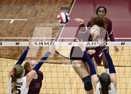 Thumbnail 3 in Sachse @ Wylie photogallery.