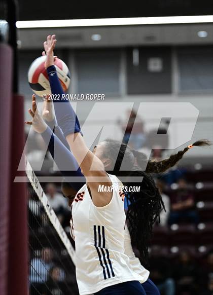 Thumbnail 1 in Sachse @ Wylie photogallery.