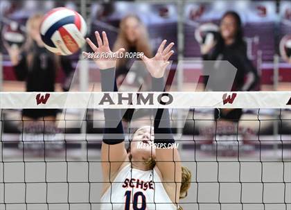 Thumbnail 3 in Sachse @ Wylie photogallery.