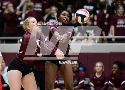 Thumbnail 1 in Sachse @ Wylie photogallery.