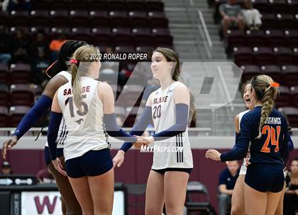 Thumbnail 2 in Sachse @ Wylie photogallery.