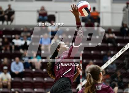 Thumbnail 2 in Sachse @ Wylie photogallery.