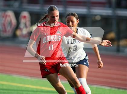 Thumbnail 1 in Mifflinburg @ Bloomsburg photogallery.