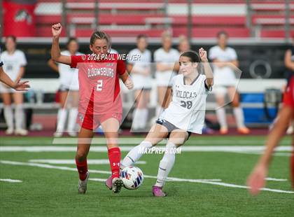 Thumbnail 1 in Mifflinburg @ Bloomsburg photogallery.