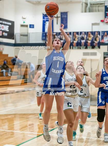 Thumbnail 3 in Indianapolis Bishop Chatard vs Cathedral (City Tournament Final) photogallery.