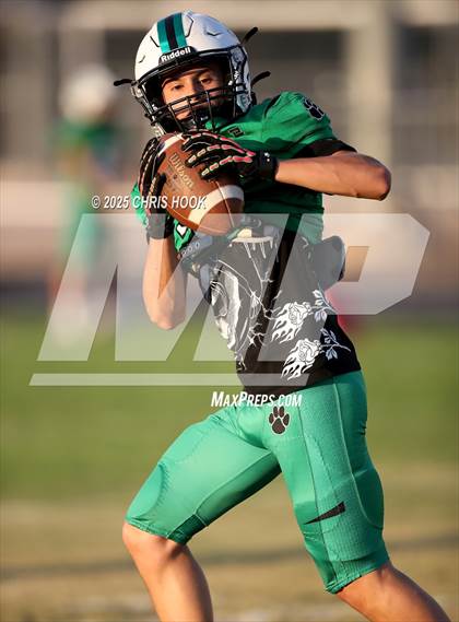 Thumbnail 1 in Flowing Wells @ Amphitheater photogallery.