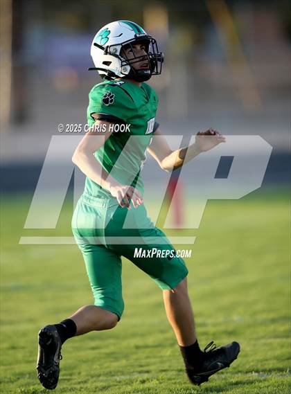 Thumbnail 1 in Flowing Wells @ Amphitheater photogallery.