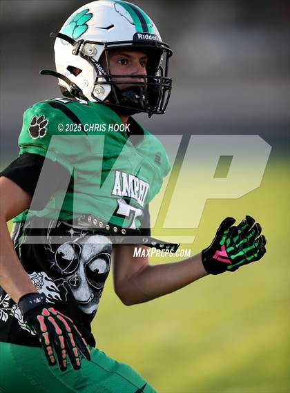 Thumbnail 1 in Flowing Wells @ Amphitheater photogallery.