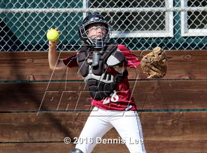 Thumbnail 3 in St. Patrick-St. Vincent vs. Cardinal Newman (CIF NCS D4 Playoffs) photogallery.