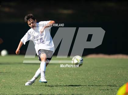 Thumbnail 2 in Ardrey Kell @ Myers Park photogallery.