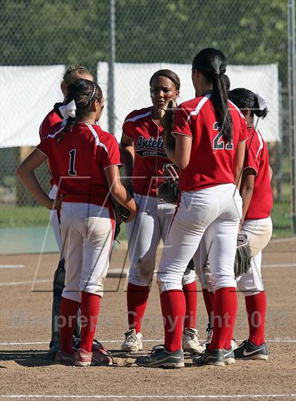Thumbnail 1 in Antelope vs Pioneer (CIF SJS D3 Final) photogallery.