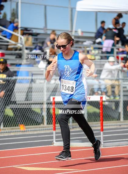 Thumbnail 1 in Bryan Bradley Viking Track Classic (300m Hurdles) photogallery.