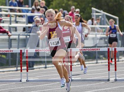Thumbnail 1 in Bryan Bradley Viking Track Classic (300m Hurdles) photogallery.