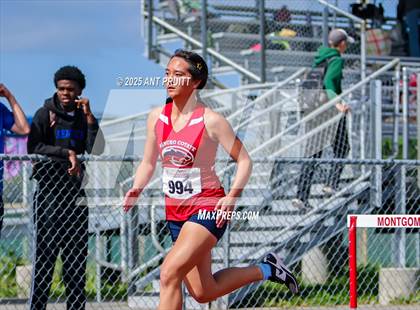 Thumbnail 1 in Bryan Bradley Viking Track Classic (300m Hurdles) photogallery.