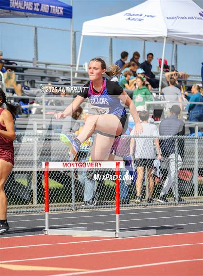 Thumbnail 3 in Bryan Bradley Viking Track Classic (300m Hurdles) photogallery.