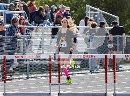 Thumbnail 2 in Bryan Bradley Viking Track Classic (300m Hurdles) photogallery.