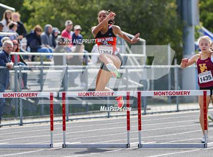 Thumbnail 1 in Bryan Bradley Viking Track Classic (300m Hurdles) photogallery.