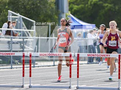 Thumbnail 1 in Bryan Bradley Viking Track Classic (300m Hurdles) photogallery.