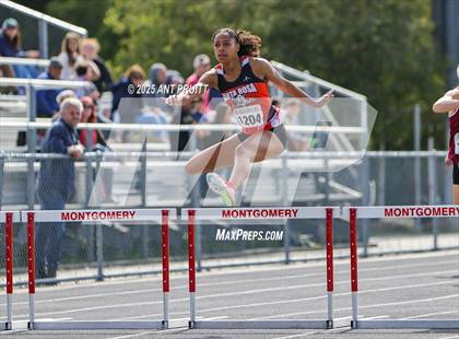 Thumbnail 2 in Bryan Bradley Viking Track Classic (300m Hurdles) photogallery.