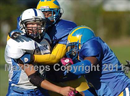 Thumbnail 2 in Gowanda @ Cleveland Hill photogallery.
