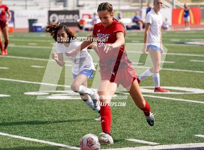Thumbnail 3 in Crimson Cliffs vs. Ben Lomond photogallery.