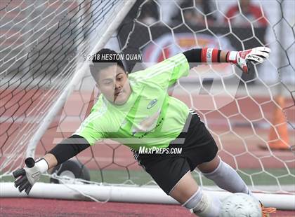 Thumbnail 1 in Environmental Charter vs. Aquinas (CIF-SS D7 Final) photogallery.