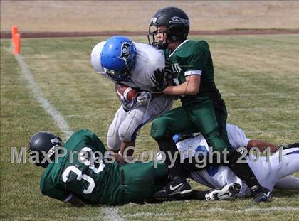 Thumbnail 3 in JV: Alameda @ D'Evelyn photogallery.