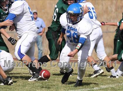 Thumbnail 1 in JV: Alameda @ D'Evelyn photogallery.