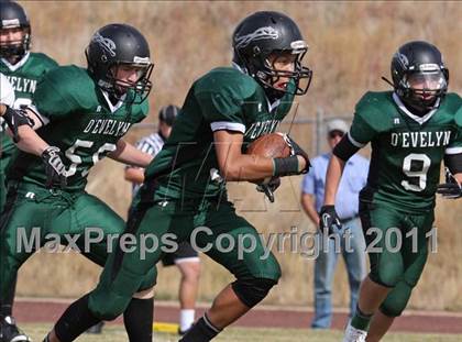 Thumbnail 3 in JV: Alameda @ D'Evelyn photogallery.