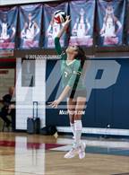 Photo from the gallery "Cypress Falls @ Memorial"