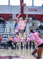 Photo from the gallery "Cypress Falls @ Memorial"