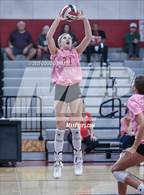 Photo from the gallery "Cypress Falls @ Memorial"