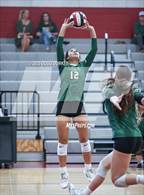 Photo from the gallery "Cypress Falls @ Memorial"