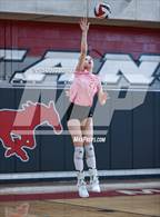 Photo from the gallery "Cypress Falls @ Memorial"