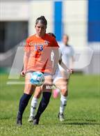 Photo from the gallery "Highland @ Brighton"
