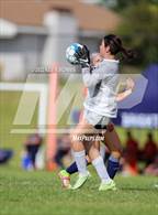 Photo from the gallery "Highland @ Brighton"