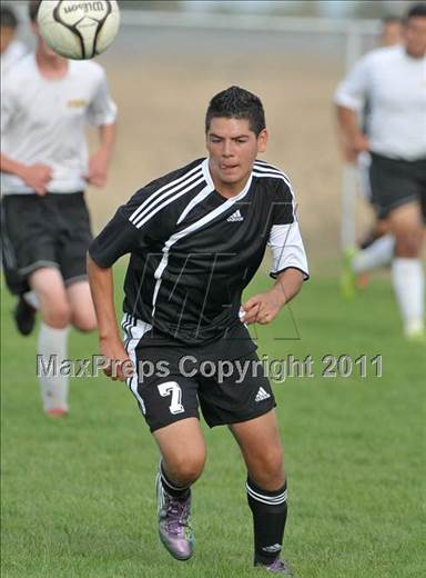 null - Photo 01