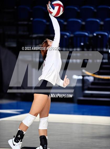 Thumbnail 2 in Lamar @ Heights photogallery.