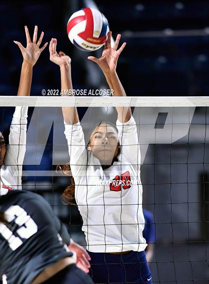 Thumbnail 2 in Lamar @ Heights photogallery.