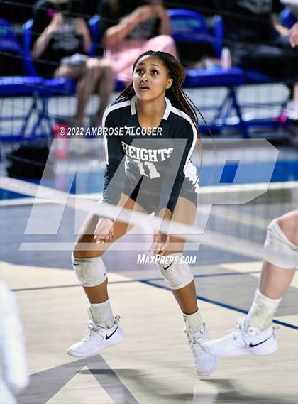Thumbnail 3 in Lamar @ Heights photogallery.