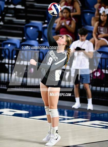 Thumbnail 2 in Lamar @ Heights photogallery.