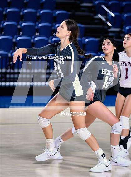 Thumbnail 3 in Lamar @ Heights photogallery.