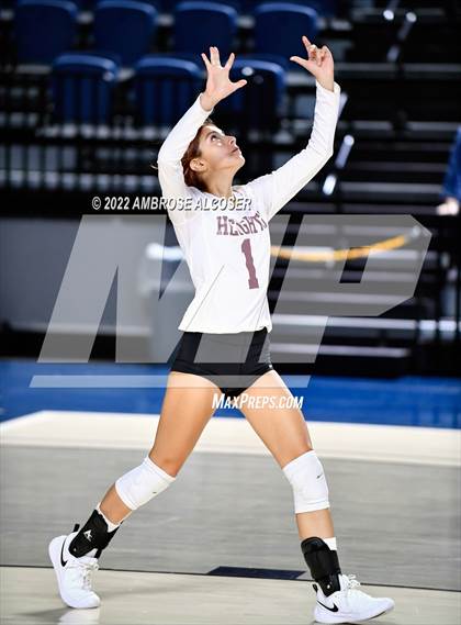 Thumbnail 1 in Lamar @ Heights photogallery.