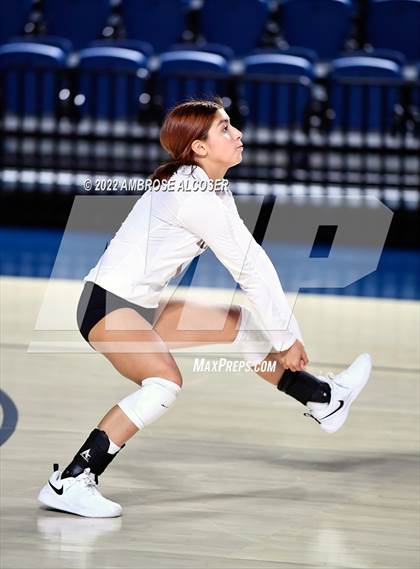 Thumbnail 3 in Lamar @ Heights photogallery.