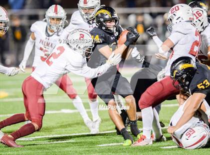 Thumbnail 1 in Wilcox vs. Palma (CIF CCS D2 Finals) photogallery.