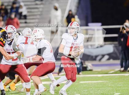 Thumbnail 2 in Wilcox vs. Palma (CIF CCS D2 Finals) photogallery.
