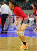 Photo from the gallery "Dove Creek vs. Otis (CHSAA 1A State Championships Elimination Bracket Round 1)"