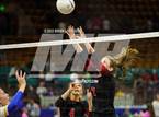Photo from the gallery "Dove Creek vs. Otis (CHSAA 1A State Championships Elimination Bracket Round 1)"
