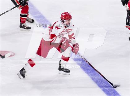 Thumbnail 1 in Winchester vs. Waltham (MIAA Division 1 North Final) photogallery.